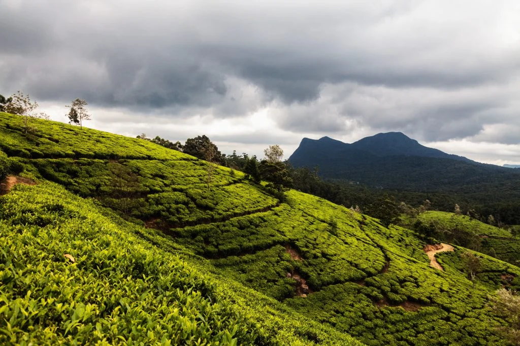 green grass field under cloudy sky during daytime central province