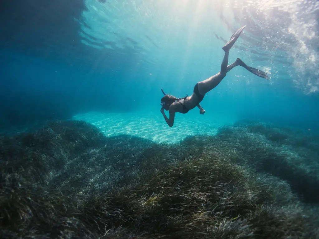 woman in black wetsuit swimming in water maldives cities