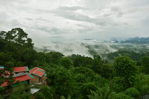 photo 1658383895221 173f07c6a9d0?ixid=MnwzODM4MzZ8MHwxfGFsbHx8fHx8fHx8fDE2NzA2NzM0NjY&ixlib=rb 4.0