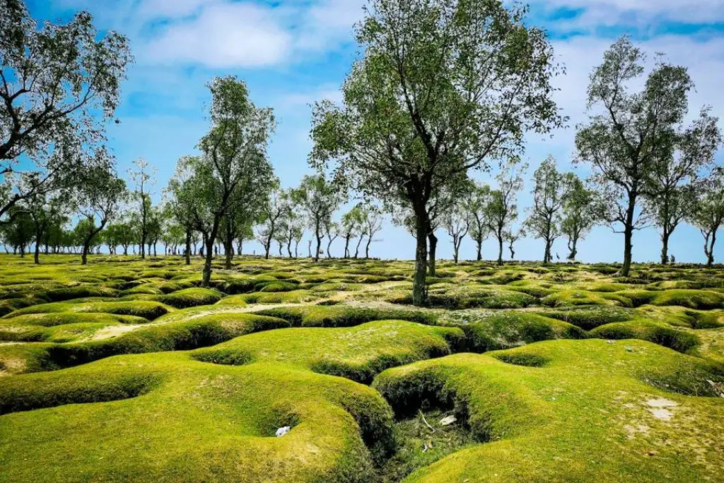 Chittagong: The Commercial Capital