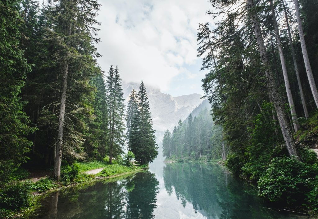 body of water surrounded by pine trees during daytime ushu forest swat valley