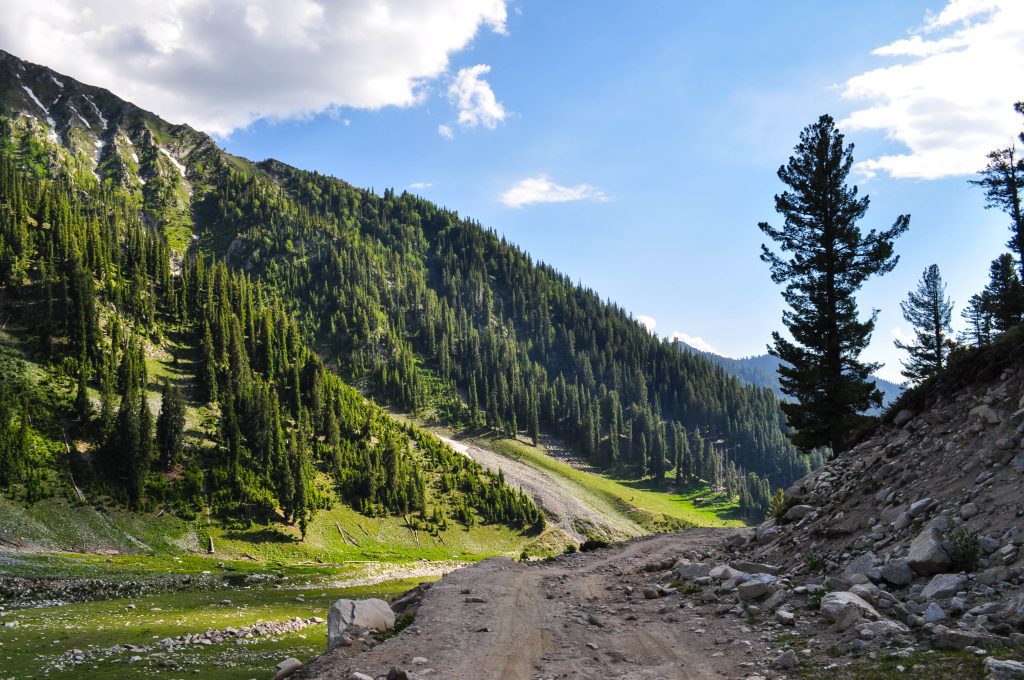 Kumrat Valley - Mountain - Trees - Natural View - Blue sky - Kalam Road