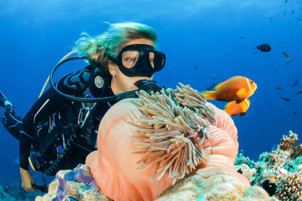 female diver near sea sponge during daytime. Location: hong Island, thailand