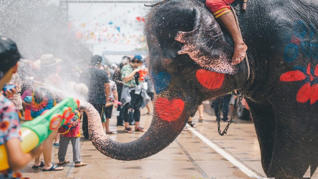 Songkran thai festivals