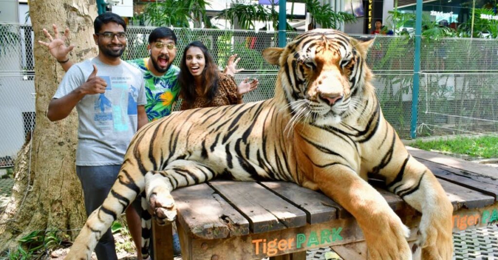 Crazy Things to Do in Pattaya