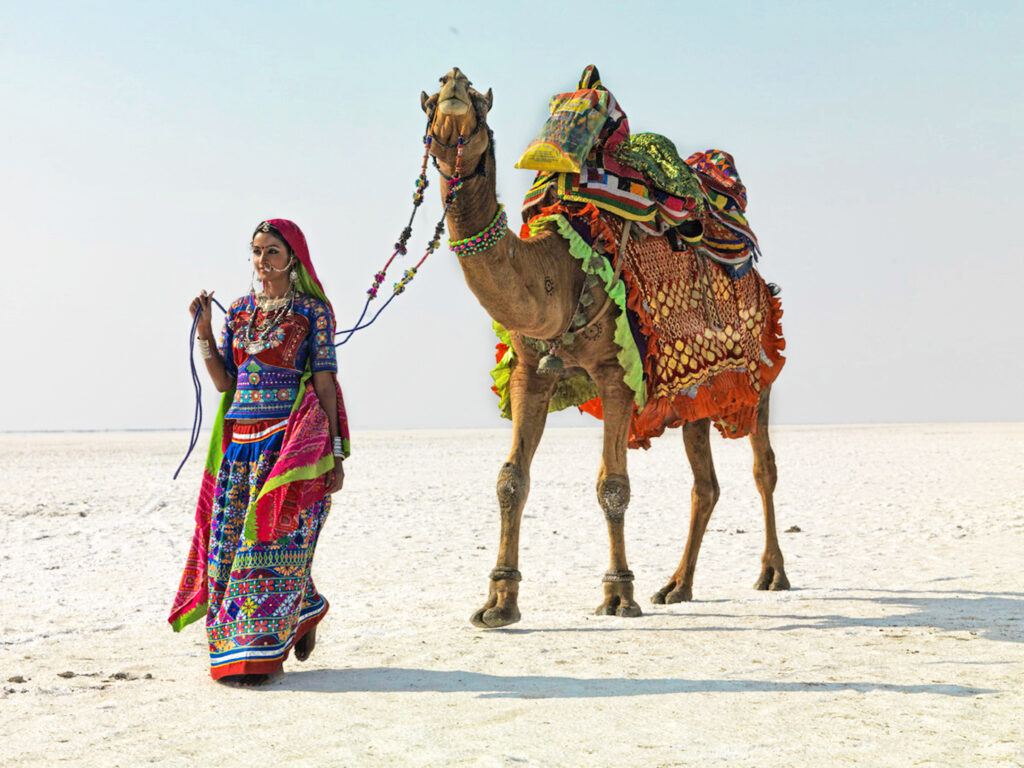 A Woman in Gujrati traditional dress with camel in Rann Utsav