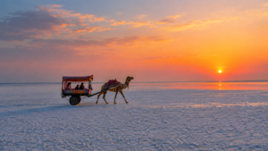 Golden sunset over the vast white salt desert of Rann of Kutch with a traditional camel cart during Rann Utsav in Gujarat India