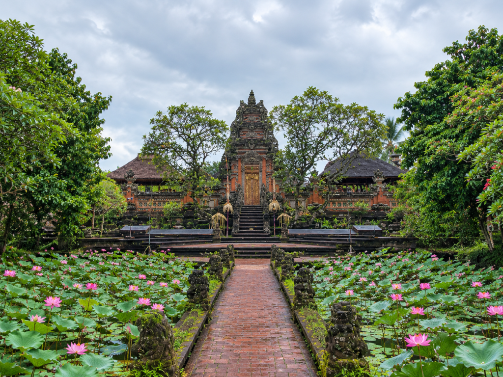  Blooming pink lotus flowers filling the twin water ponds leading to the carved stone gates of Pura Taman Saraswati Ubud. 