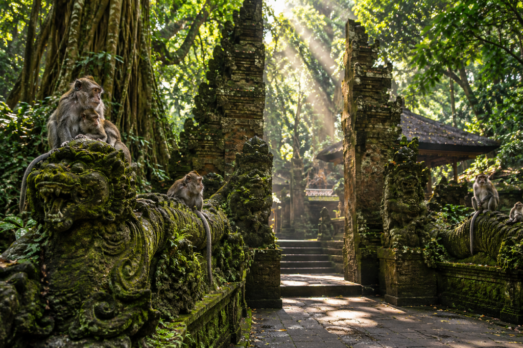 Long-tailed macaques resting on ancient moss-covered stone carvings at Pura Dalem Agung in Ubud Monkey Forest. 