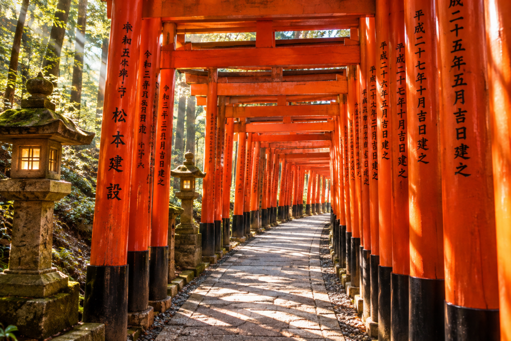 Winding red torii gates climbing Mount Inari under morning forest light in Kyoto.