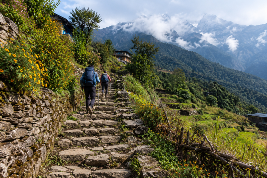 Trekkers with walking poles ascending steep hand-carved granite stone steps towards Ulleri village in the Annapurna hills.